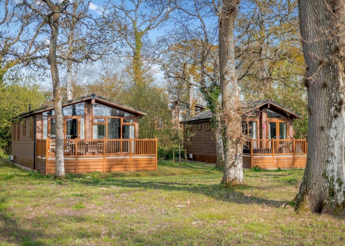 Wareham Forest Lodge Retreat Lytchett Minster Extérieur photo