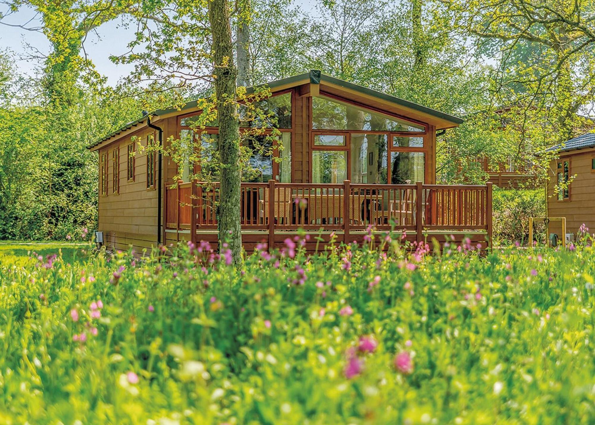 Wareham Forest Lodge Retreat Lytchett Minster Extérieur photo